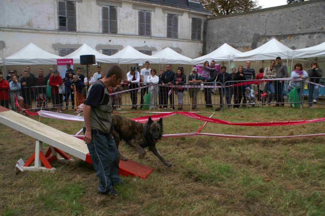 foire-haricots 2011-09-17et18